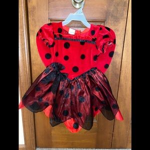 NWT. Koala Kids. Lady Bug Costume With Matching Soft Hat. Size 3T.